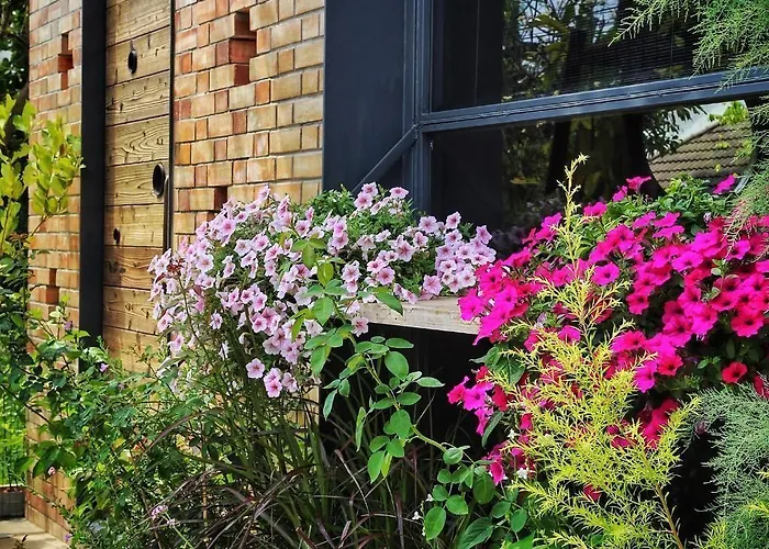 Little Friends Beyond Bed & Breakfast
